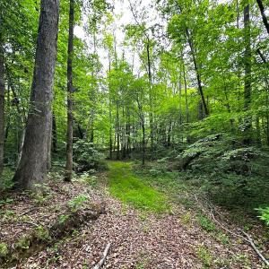 Photo #33 of Off Western Mill Rd, Lawrenceville, VA 207.9 acres