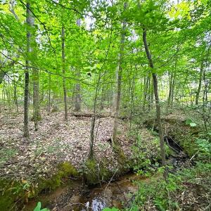 Photo #35 of Off Western Mill Rd, Lawrenceville, VA 207.9 acres