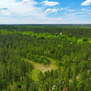 Photo #36 of Off Western Mill Rd, Lawrenceville, VA 207.9 acres