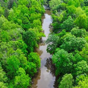 Photo #4 of Off Western Mill Rd, Lawrenceville, VA 207.9 acres