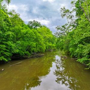 Photo #5 of Off Western Mill Rd, Lawrenceville, VA 207.9 acres