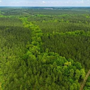 Photo #6 of Off Western Mill Rd, Lawrenceville, VA 207.9 acres