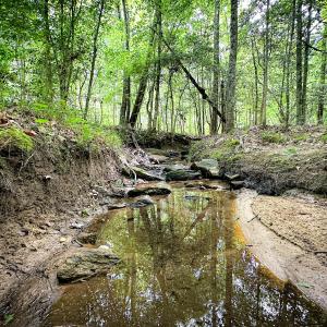Photo #7 of Off Western Mill Rd, Lawrenceville, VA 207.9 acres