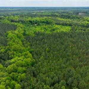 Photo #8 of Off Western Mill Rd, Lawrenceville, VA 207.9 acres