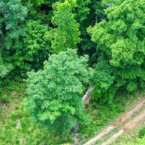 Photo #41 of Off Western Mill Rd, Lawrenceville, VA 207.9 acres