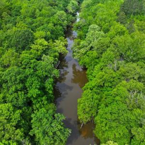 Photo #44 of Off Western Mill Rd, Lawrenceville, VA 207.9 acres