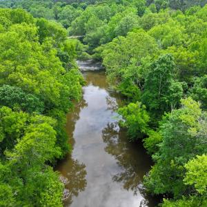 Photo #45 of Off Western Mill Rd, Lawrenceville, VA 207.9 acres