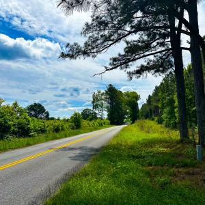 Photo #48 of Off Western Mill Rd, Lawrenceville, VA 207.9 acres