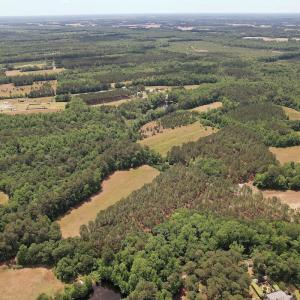 Photo #9 of 768 Bethesda Church Road, Farimont, NC 130.0 acres