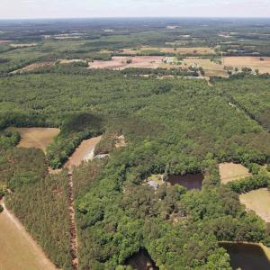 Photo #10 of 768 Bethesda Church Road, Farimont, NC 130.0 acres