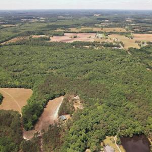 Photo #12 of 768 Bethesda Church Road, Farimont, NC 130.0 acres