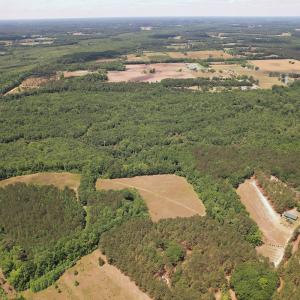 Photo #13 of 768 Bethesda Church Road, Farimont, NC 130.0 acres