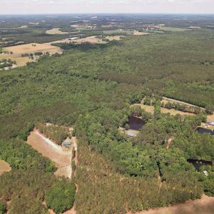 Photo #14 of 768 Bethesda Church Road, Farimont, NC 130.0 acres