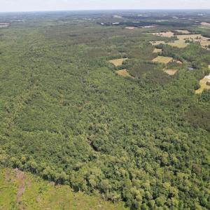 Photo #15 of 768 Bethesda Church Road, Farimont, NC 130.0 acres