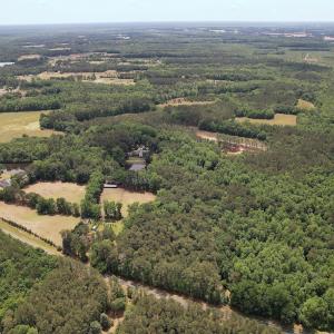Photo #6 of 768 Bethesda Church Road, Farimont, NC 130.0 acres