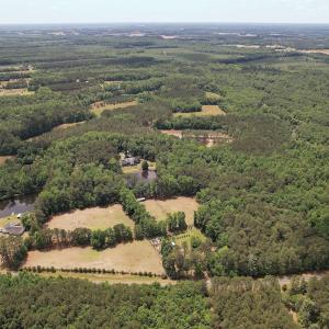 Photo #7 of 768 Bethesda Church Road, Farimont, NC 130.0 acres
