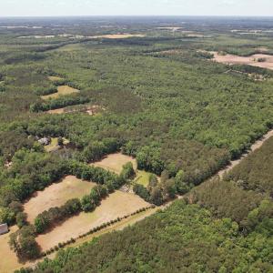 Photo #8 of 768 Bethesda Church Road, Farimont, NC 130.0 acres