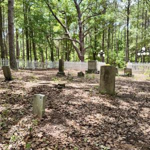 Photo #32 of 768 Bethesda Church Road, Farimont, NC 130.0 acres