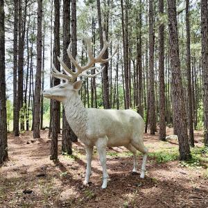 Photo #33 of 768 Bethesda Church Road, Farimont, NC 130.0 acres