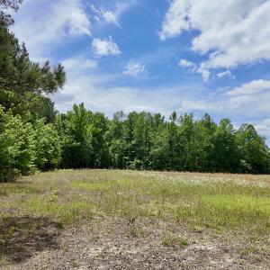Photo #34 of 768 Bethesda Church Road, Farimont, NC 130.0 acres