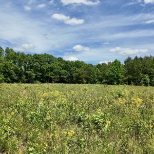 Photo #35 of 768 Bethesda Church Road, Farimont, NC 130.0 acres