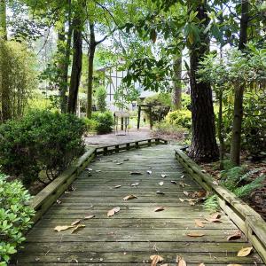Photo #46 of 768 Bethesda Church Road, Farimont, NC 130.0 acres