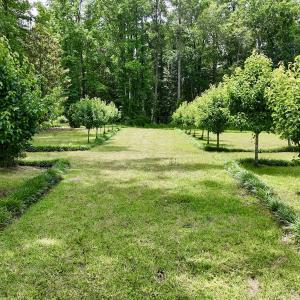 Photo #50 of 768 Bethesda Church Road, Farimont, NC 130.0 acres