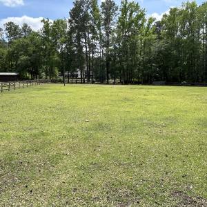 Photo #53 of 768 Bethesda Church Road, Farimont, NC 130.0 acres