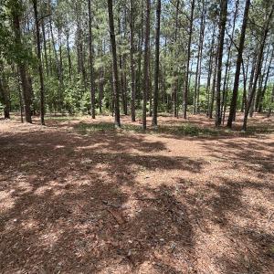 Photo #56 of 768 Bethesda Church Road, Farimont, NC 130.0 acres