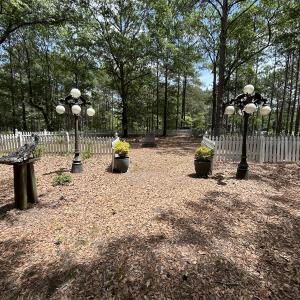 Photo #57 of 768 Bethesda Church Road, Farimont, NC 130.0 acres