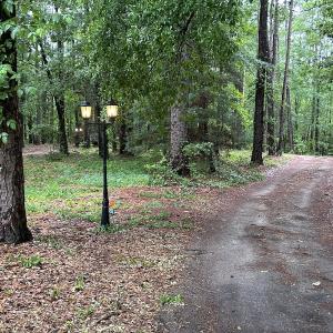 Photo #65 of 768 Bethesda Church Road, Farimont, NC 130.0 acres