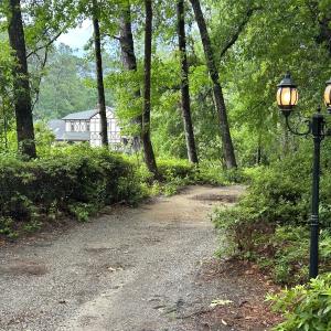 Photo #66 of 768 Bethesda Church Road, Farimont, NC 130.0 acres