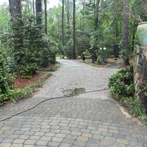 Photo #67 of 768 Bethesda Church Road, Farimont, NC 130.0 acres