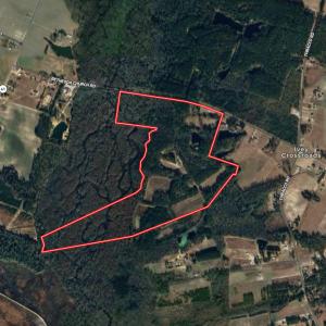 Photo #71 of 768 Bethesda Church Road, Farimont, NC 130.0 acres
