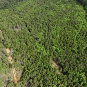 Photo #10 of 7175 Beef Steak Rd, Waverly, VA 76.7 acres