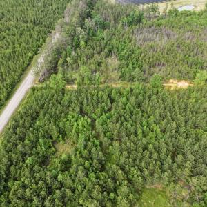 Photo #11 of 7175 Beef Steak Rd, Waverly, VA 76.7 acres