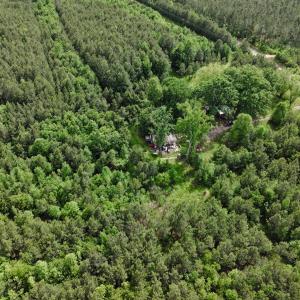 Photo #12 of 7175 Beef Steak Rd, Waverly, VA 76.7 acres