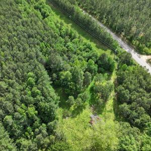 Photo #13 of 7175 Beef Steak Rd, Waverly, VA 76.7 acres