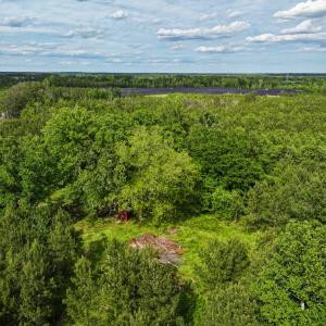 Photo #17 of 7175 Beef Steak Rd, Waverly, VA 76.7 acres