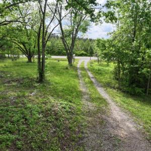 Photo #18 of 7175 Beef Steak Rd, Waverly, VA 76.7 acres