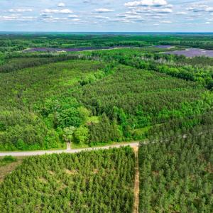Photo #1 of 7175 Beef Steak Rd, Waverly, VA 76.7 acres