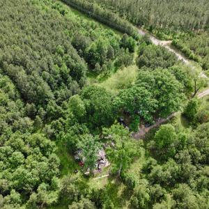 Photo #21 of 7175 Beef Steak Rd, Waverly, VA 76.7 acres