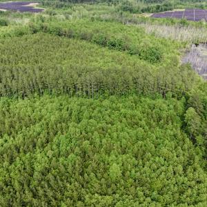 Photo #3 of 7175 Beef Steak Rd, Waverly, VA 76.7 acres