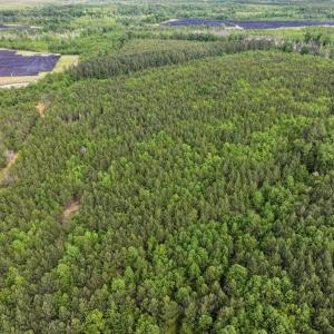 Photo #5 of 7175 Beef Steak Rd, Waverly, VA 76.7 acres
