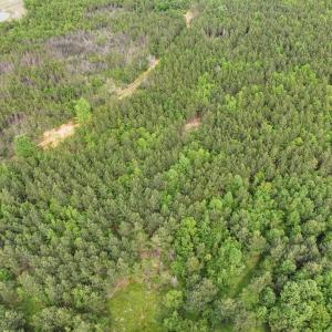 Photo #6 of 7175 Beef Steak Rd, Waverly, VA 76.7 acres