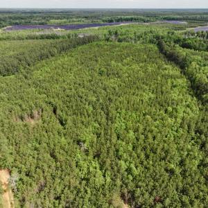 Photo #9 of 7175 Beef Steak Rd, Waverly, VA 76.7 acres