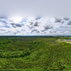 Photo #22 of 7175 Beef Steak Rd, Waverly, VA 76.7 acres