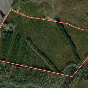 Photo #24 of 7175 Beef Steak Rd, Waverly, VA 76.7 acres