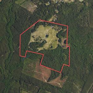 Photo #81 of 330 Ellis Stewart Ln, Cameron, NC 193.0 acres