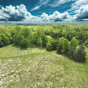 Photo #13 of Off Longs Mill Road - Lot 1, Blanch, NC 35.5 acres